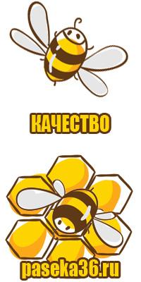Перга пчелиная полезные